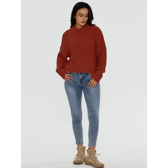 Women's Crewneck Chunky Knit Batwing Long Sleeve Loose Pullover Sweaters Tops - Picture 5 of 6